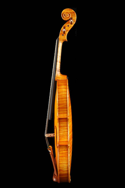 小提琴 欧料琴型A版侧面